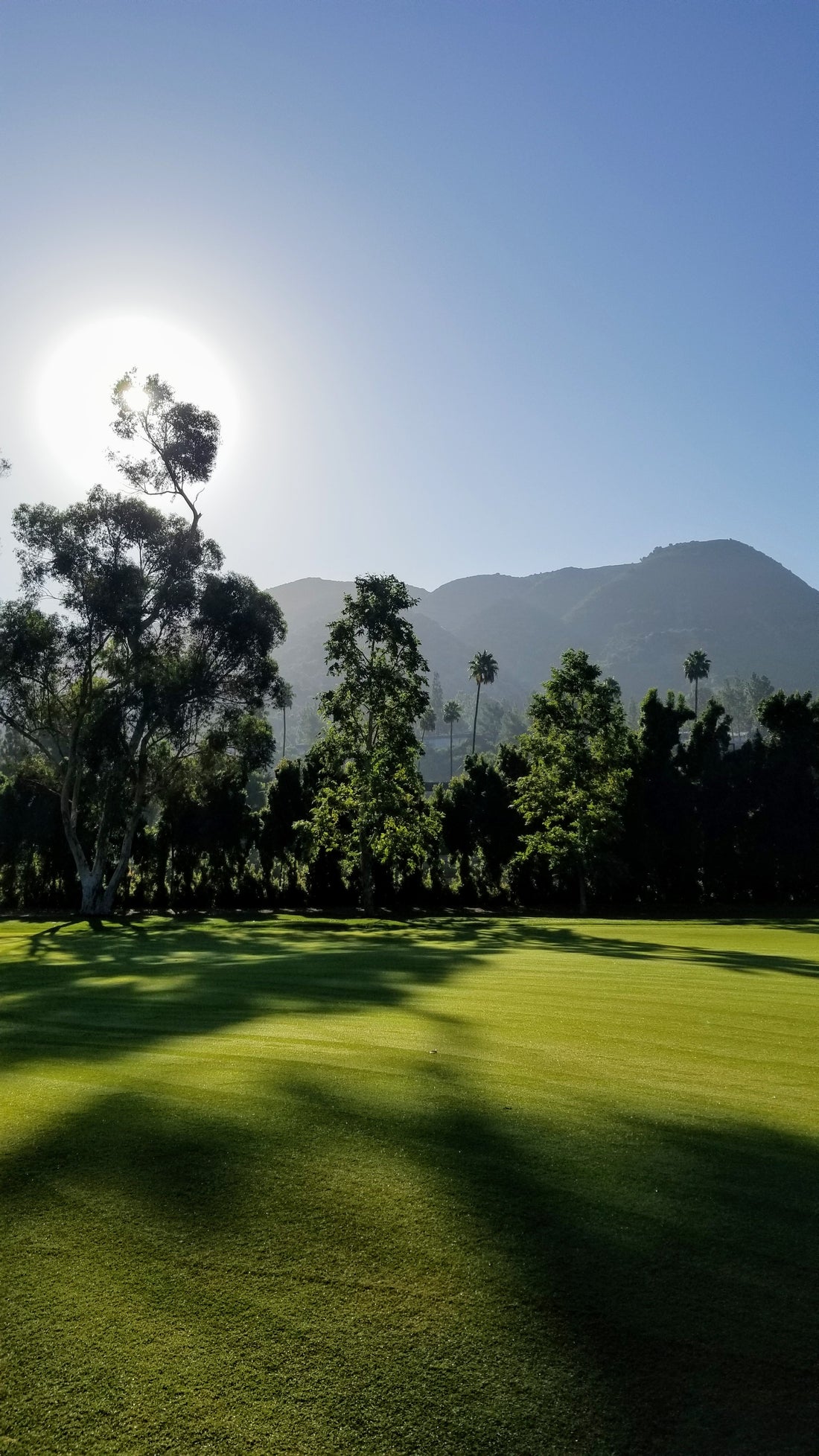 The Beautiful Game of Golf: A Journey of Patience and Precision